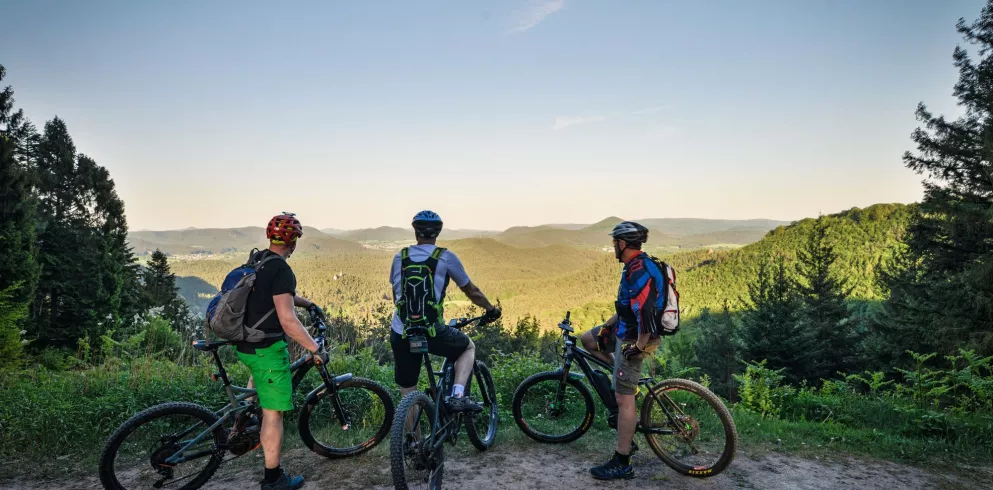 Ausblick entlang der Mountainbikestrecke