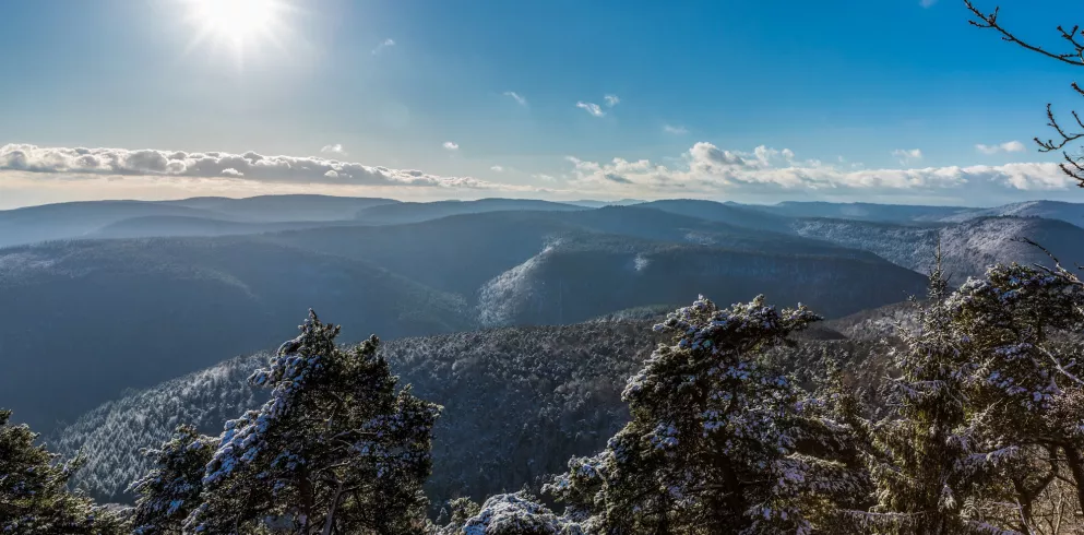 Blick vom Rahnfels im Winter