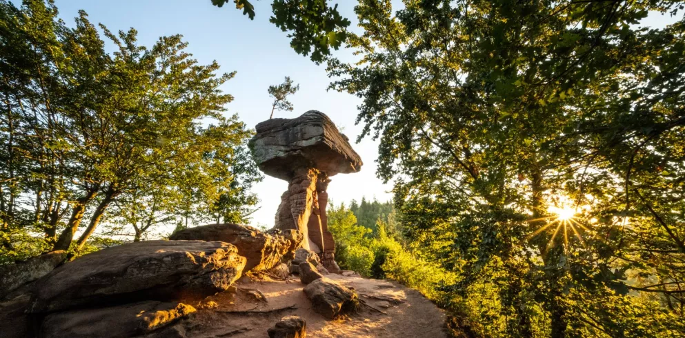 Teufelstisch Felsformation im Pfälzerwald
