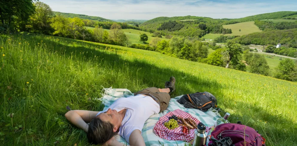 Picknick am Remigius Wanderweg auf einer Wiese am Hügel