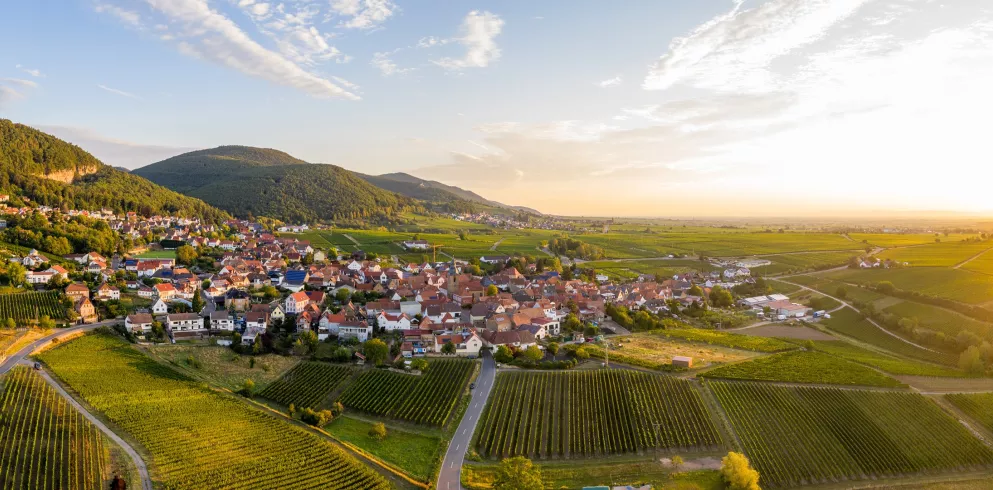 Jetzt zu den ProWein-Verkostungen anmelden
