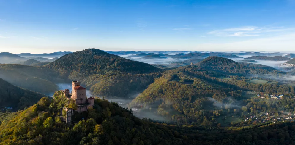 Luftansicht Burg Trifels mit Pfälzerwald im Hintergrund