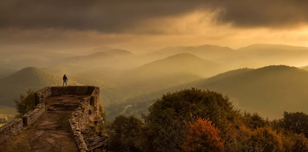 Ausblick von der Wegelnburg