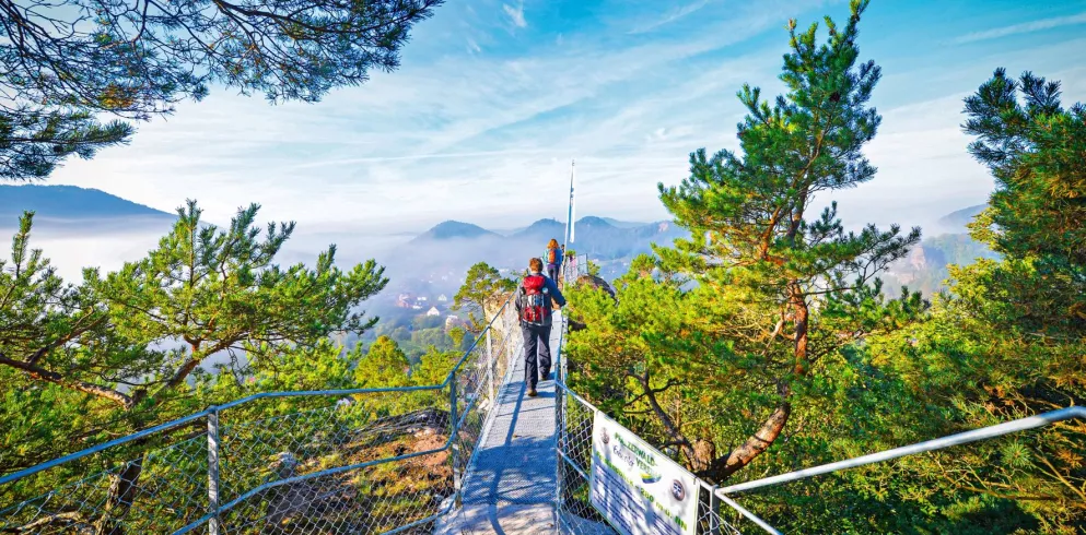 Wanderer auf dem Hahnfels mit Blick über den Pfälzerwald