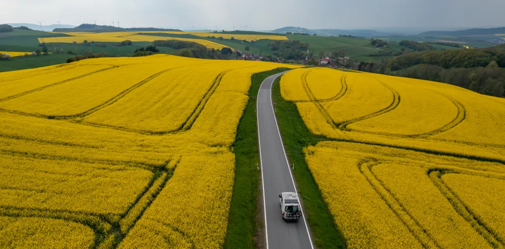Ein Van fährt entlang einer Straße die durch die Rapsfelder der Alten Welt führt.
