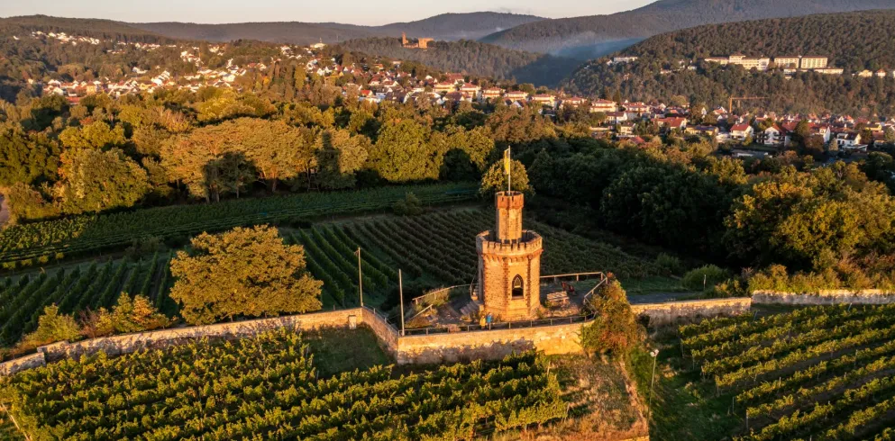 Flaggenturm bei Bad Dürkheim mit Pfälzerwald im Hintergrund