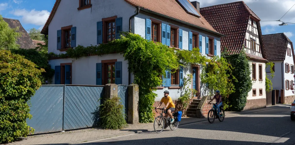 Mit dem Fahrrad die Felder und Weindörfer genießen