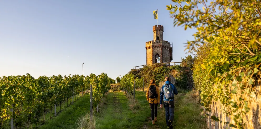 Zwei Wanderer auf dem Weg zum Flaggenturm bei Bad Dürkheim