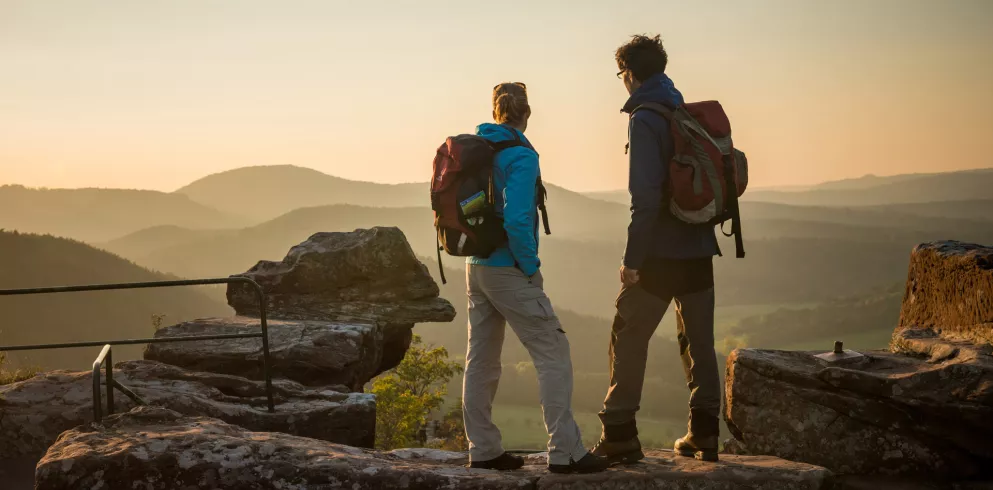 Ausblick zweier Wanderer vom Drachenfels am Pfälzer Waldpfad