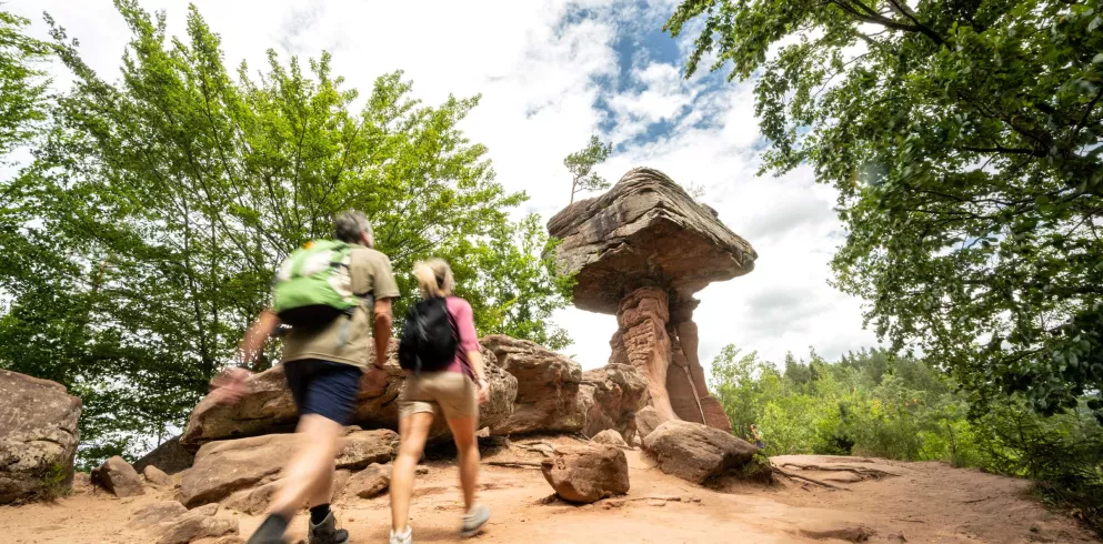 Wandererpaar auf dem Weg zum Teufelstisch im Pfälzerwald