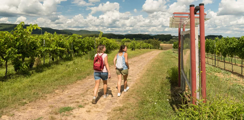 WeinWanderWochenende