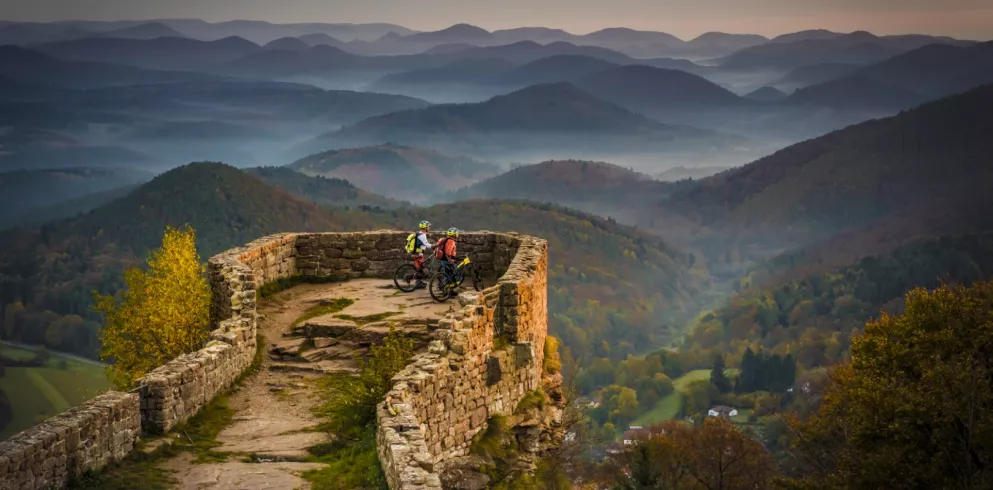 MTB Pfälzerwald
