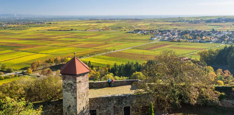 Wanderer auf der Burgruine Battenberg mit Blick über das Rebenmeer