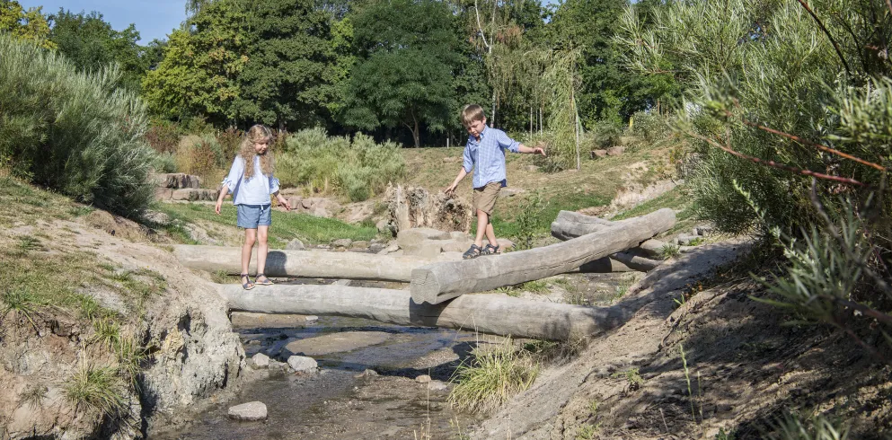 Entdecken und Spielen