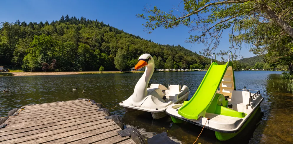 Schwimmen und Paddeln auf dem Clausensee in Waldfischbach-Burgalben