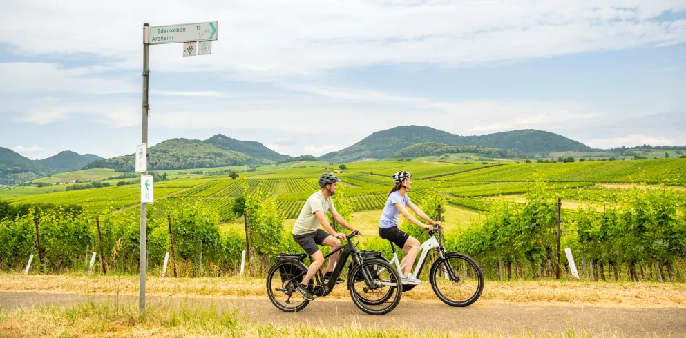 Unterwegs per Rad im Weinland Pfalz