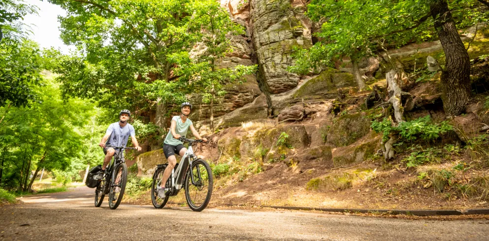 Buntsandstein am Radweg im Pfälzerwald