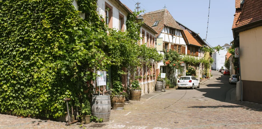 Übernachten beim Winzer