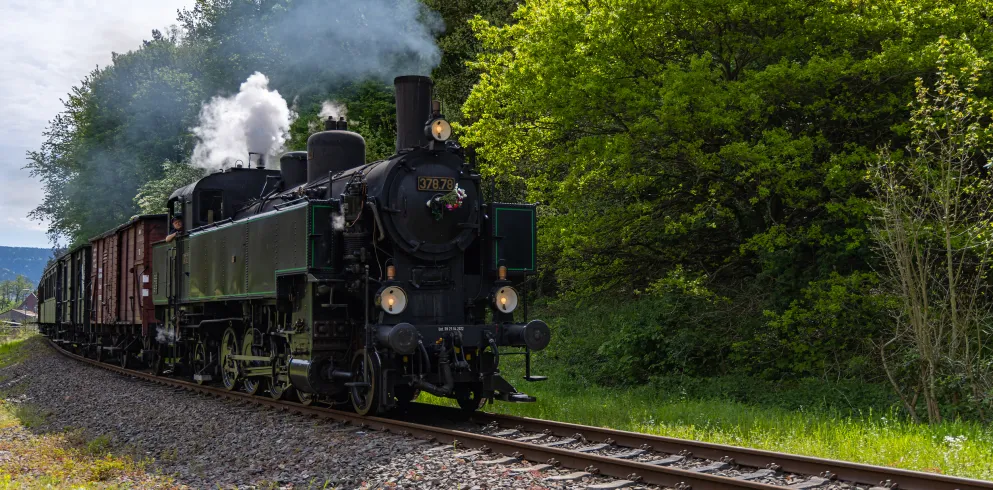 Eine Dampflokomotive rollt über die Gleisen entlang eines Waldes.