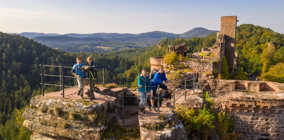 „Familie auf dem Aussichtsturm der Burg Altdahn mit Blick über grüne Wälder.