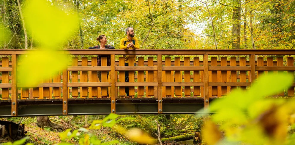 Zwei Menschen stehen an einer hölzernen Wanderbrücke im Wald