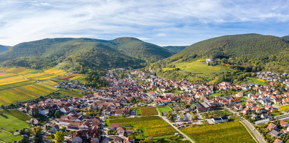  Herbstliches Weinland in St. Martin 