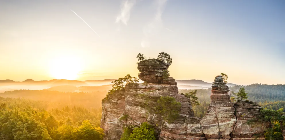 Sonnenaufgang am Lämmerfelsen in Dahn