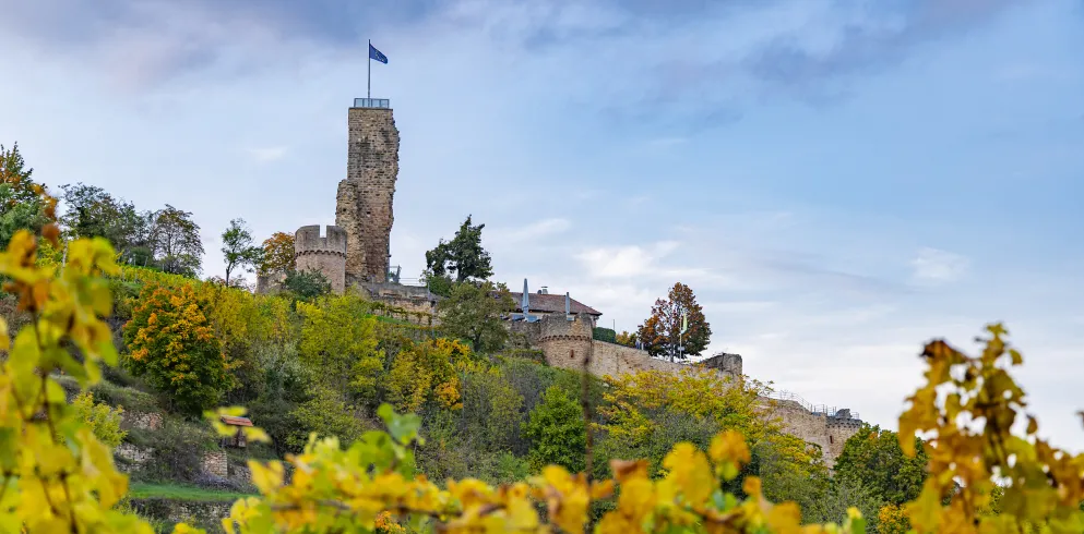 Die Wachtenburg in Wachenheim zur Herbstzeit, umgeben von den bunten Herbstblättern der Weinreben.