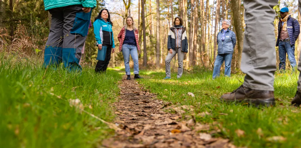 Eine Gruppe steht im Wald und ein Guide erklärt die Praxis des Waldbadens.
