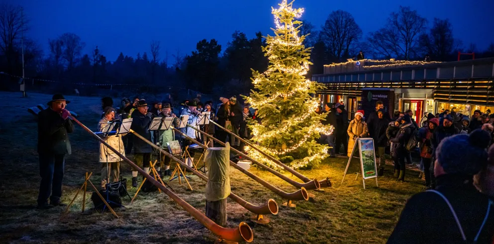 Alphornbläser auf dem Romantische Waldweihnacht Weihnachtsmarkt in Johanniskreuz