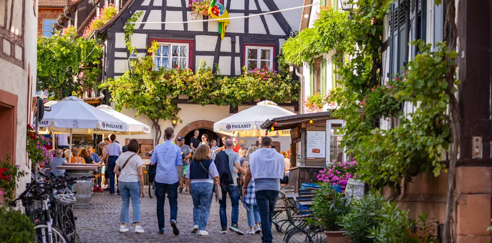 Besuchende auf der Winzergasse Gleiszellen.