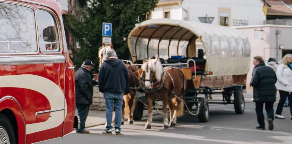 Planwagenfahrt in der Pfalz