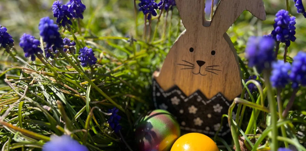 Ein Dekohase und bunte Ostereier liegen auf einer Blumenwiese