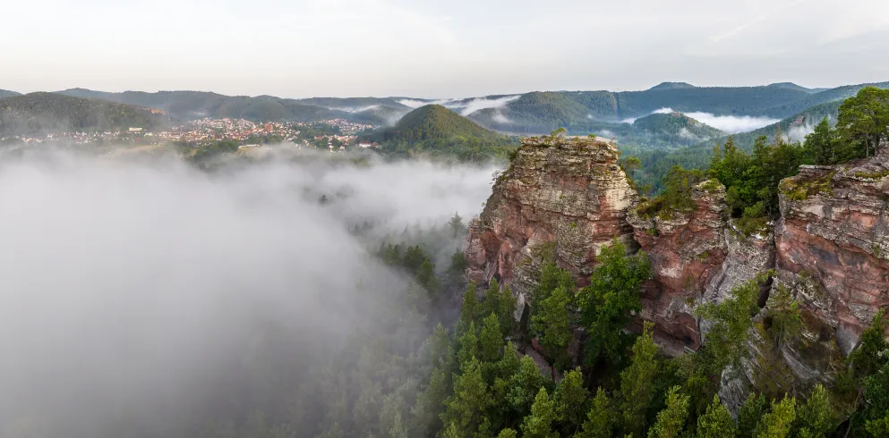  Buntsandsteinfelsen im Morgendunst bei Hauenstein