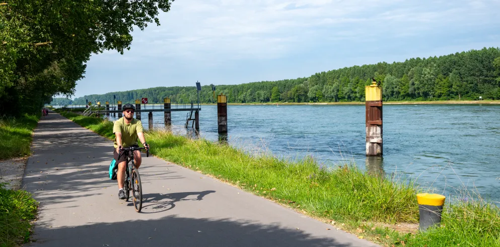 Ein Radfahrer fährt auf dem Rheinradweg EuroVelo 15 entlang des Rheinufers.