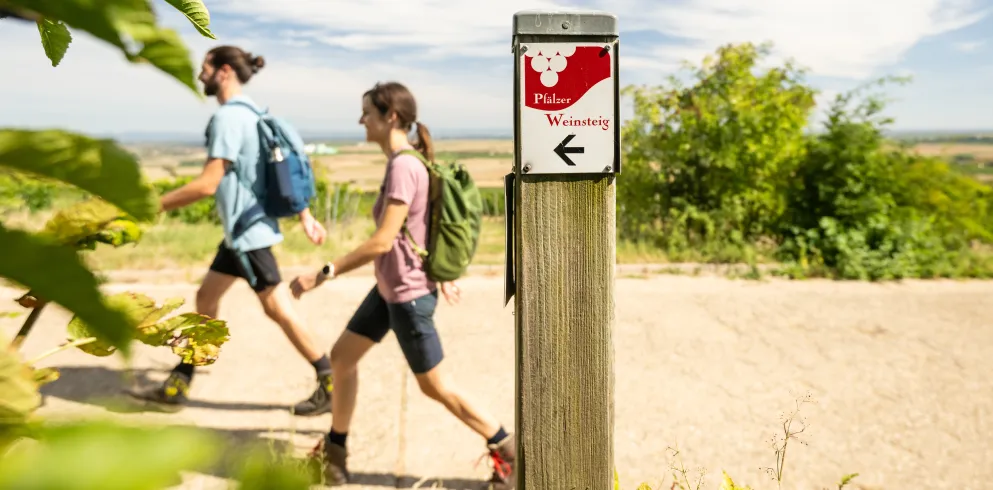 Zwei Personen wandern auf dem Pfälzer Weinsteig bei Bockenheim an der Weinstraße