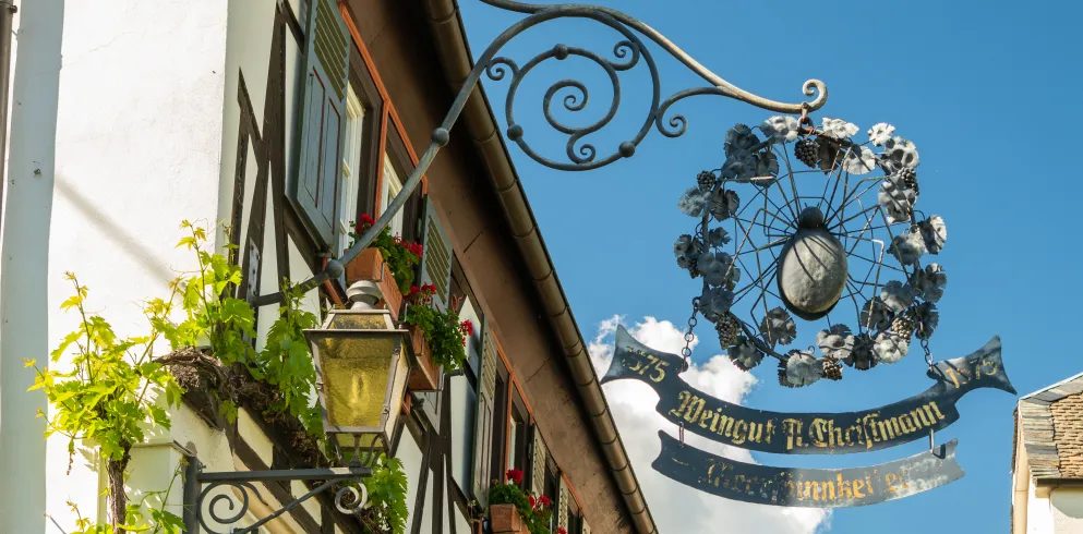 Traditionelles Weingut in Neustadt an der Weinstraße