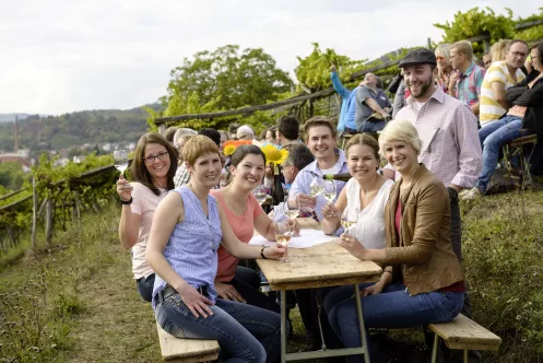 Schönstes Weinfest 2014: Siebeldingen Kulinarische Weinbergswanderung