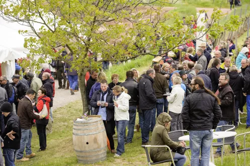 Schönstes Weinfest 2012: Birkweiler Weinfrühling