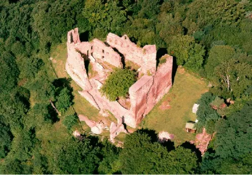  Burg Hohenecken