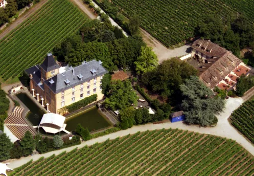 Luftaufnahme vom Schloss Edesheim