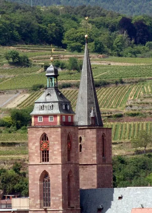 Stiftskirche in Neustadt - Foto: Rolf Schädler