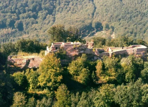 Höchste Burg der Pfalz: die Wegelnburg