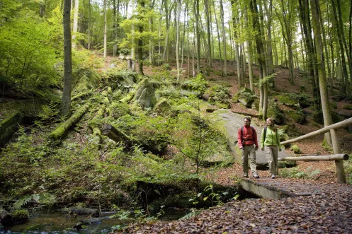 Wanderung durch die Karlstalschlucht