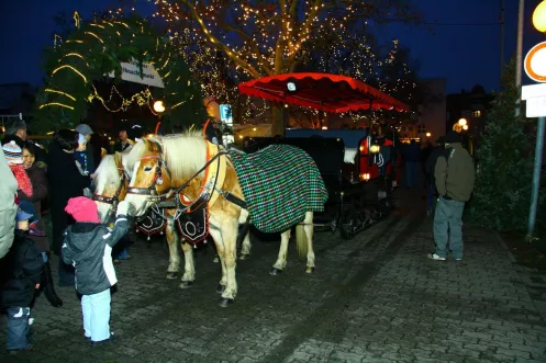 Pferdekutsche auf dem Weihnachtsmarkt in Haßloch