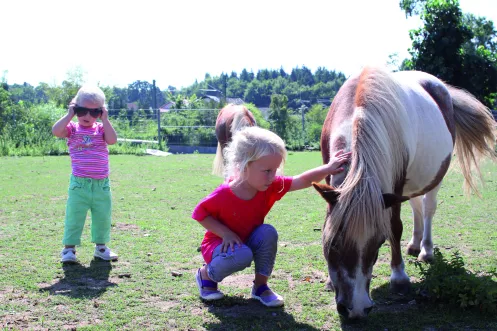 Ein kleines Mädchen streichelt ein Pony