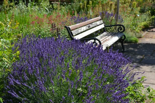 Mediterraner Garten Maikammer