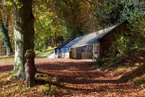 Das Gewächshaus im Landschaftspark Friedrich von Gienanth