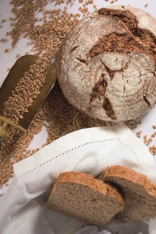 Neue Genusswelten beim Zusammenspiel von Brot und Wein