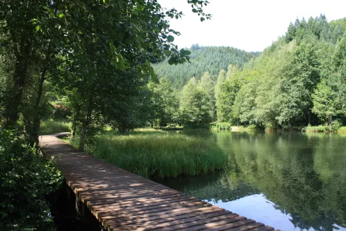 Der Steg im Naturbadesee Helmbachweiher